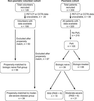 PET/CT-Based Characterization of 18F-FDG Uptake in Various Tissues Reveals Novel Potential Contributions to Coronary Artery Disease in Psoriatic Arthritis